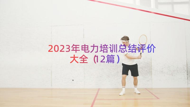 2023年电力培训总结评价大全（12篇）