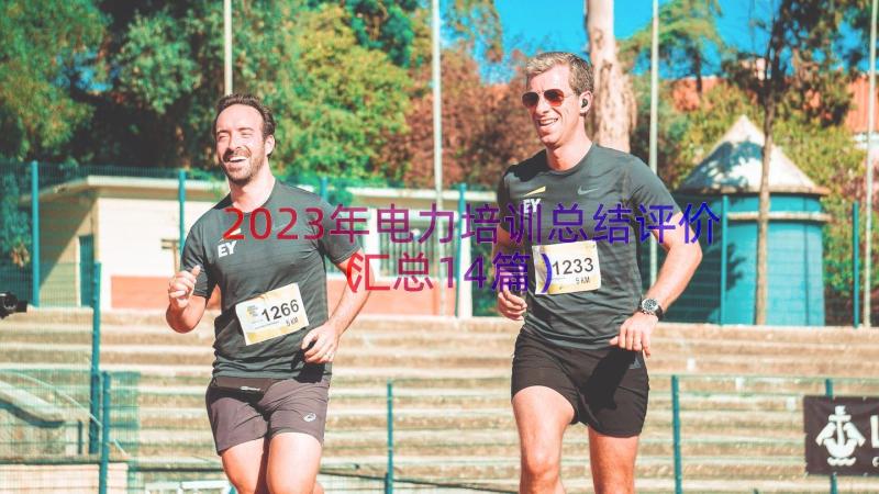 2023年电力培训总结评价（汇总14篇）