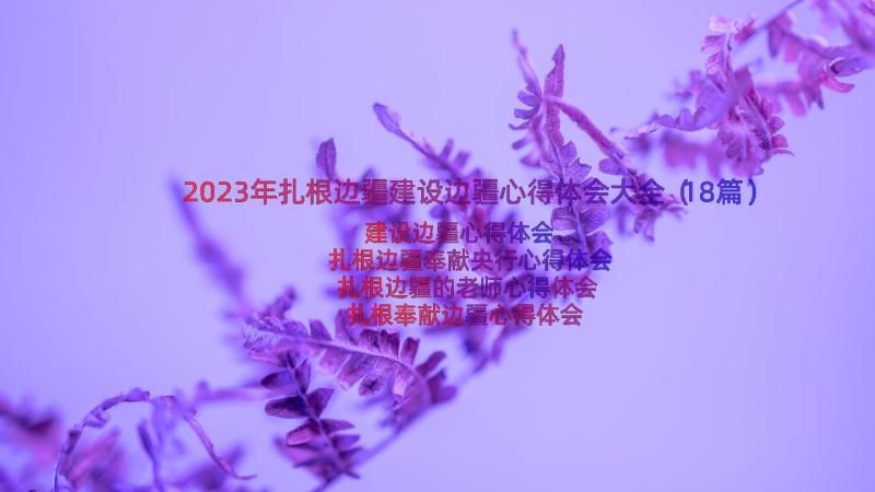 2023年扎根边疆建设边疆心得体会大全（18篇）