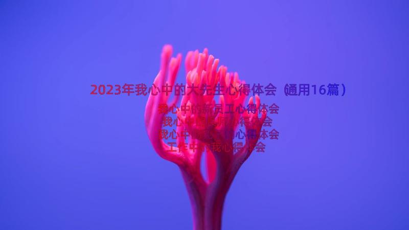 2023年我心中的大先生心得体会（通用16篇）