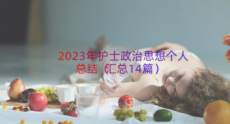 2023年护士政治思想个人总结（汇总14篇）