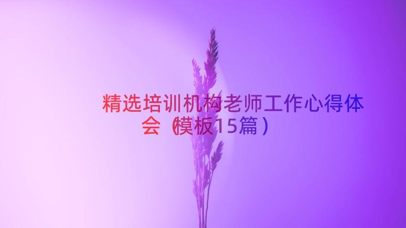 精选培训机构老师工作心得体会（模板15篇）