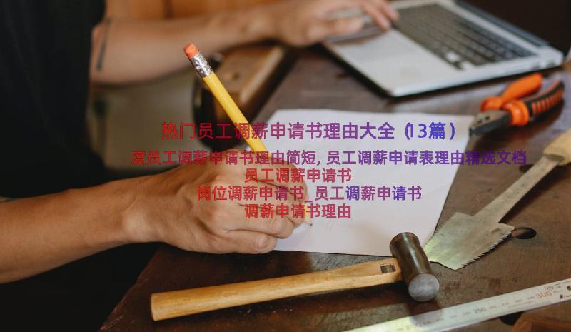 热门员工调薪申请书理由大全（13篇）