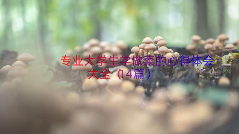 专业大学生学做菜的心得体会大全（14篇）