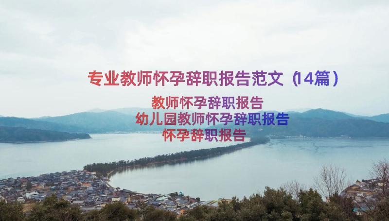 专业教师怀孕辞职报告范文（14篇）