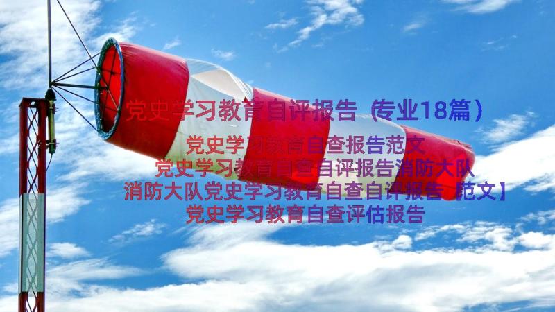 党史学习教育自评报告（专业18篇）