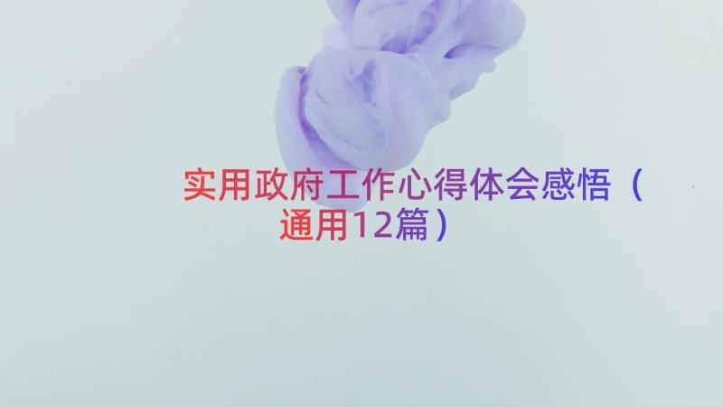 实用政府工作心得体会感悟（通用12篇）