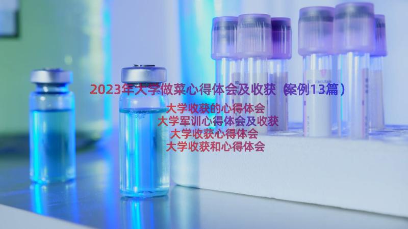 2023年大学做菜心得体会及收获（案例13篇）