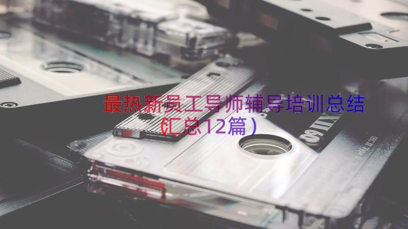 最热新员工导师辅导培训总结（汇总12篇）