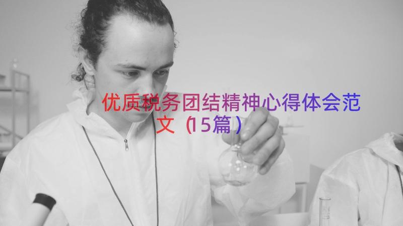 优质税务团结精神心得体会范文（15篇）