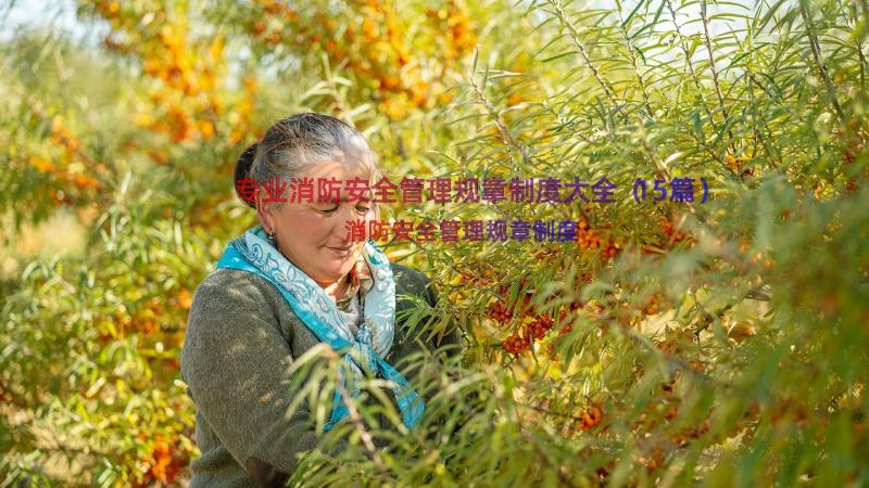 专业消防安全管理规章制度大全（15篇）