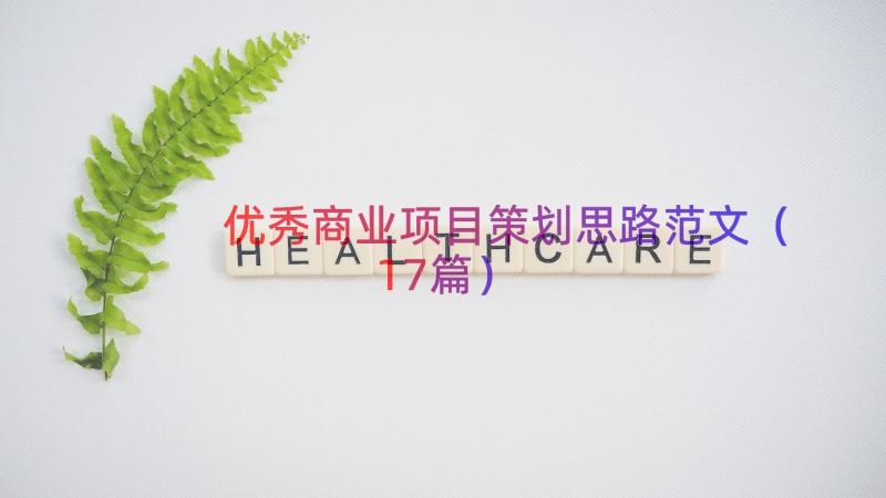 优秀商业项目策划思路范文（17篇）