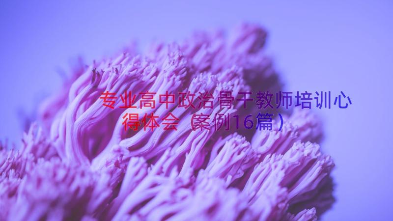 专业高中政治骨干教师培训心得体会（案例16篇）