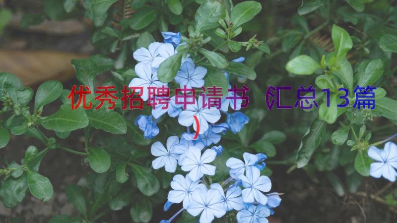 优秀招聘申请书（汇总13篇）