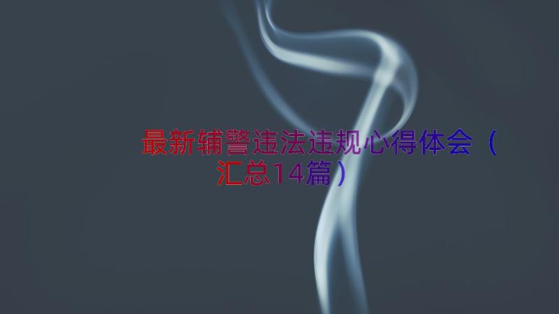 最新辅警违法违规心得体会（汇总14篇）