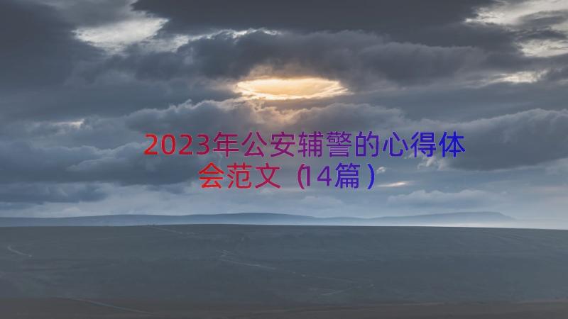 2023年公安辅警的心得体会范文（14篇）