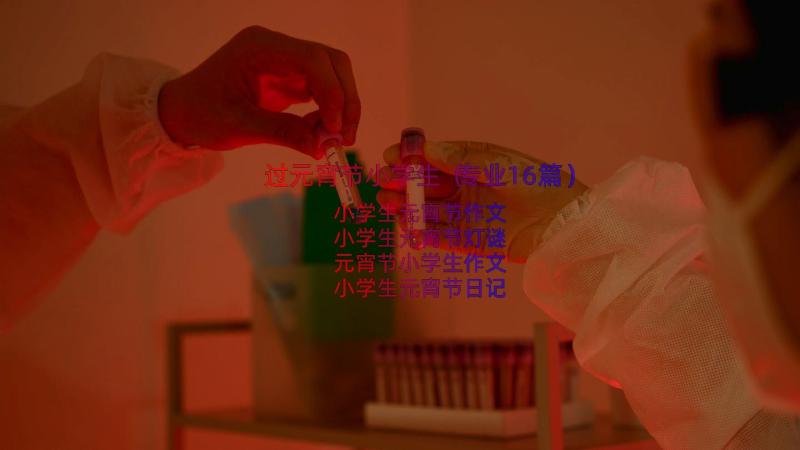 过元宵节小学生（专业16篇）