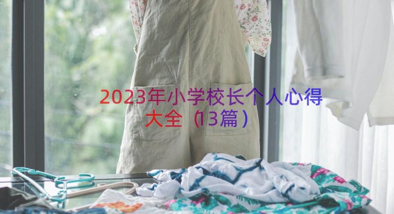 2023年小学校长个人心得大全（13篇）