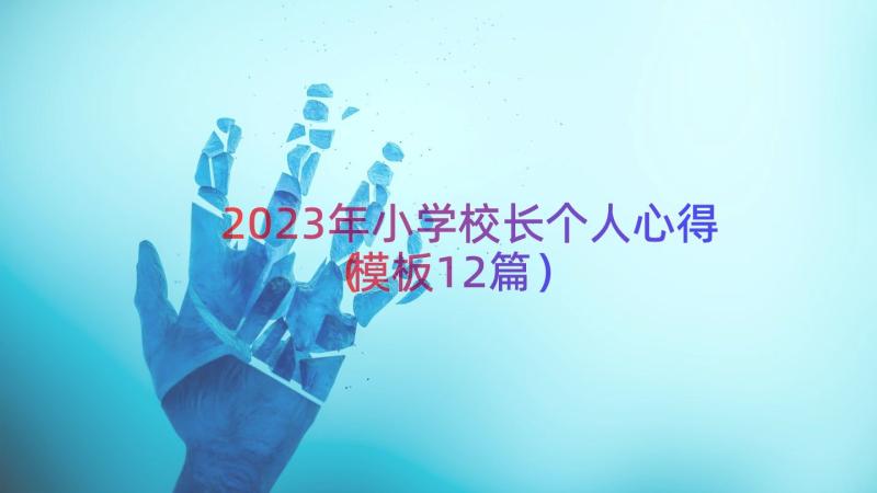 2023年小学校长个人心得（模板12篇）