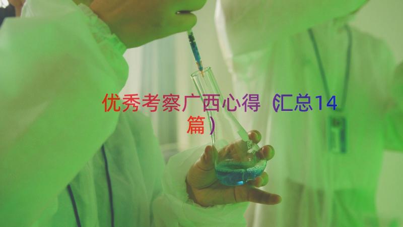 优秀考察广西心得（汇总14篇）