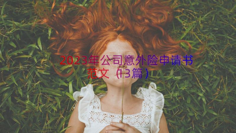 2023年公司意外险申请书范文（13篇）