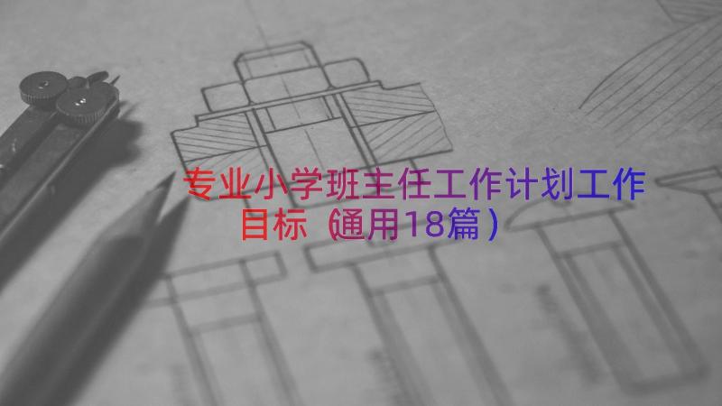 专业小学班主任工作计划工作目标（通用18篇）