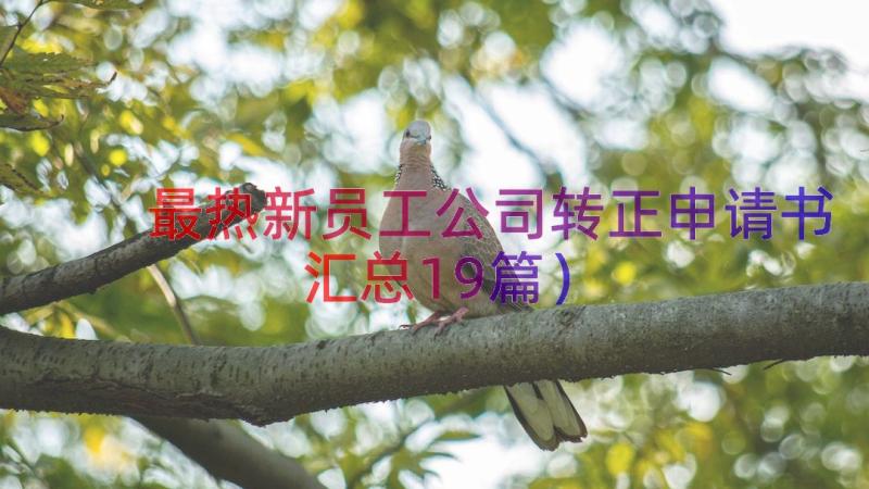 最热新员工公司转正申请书（汇总19篇）