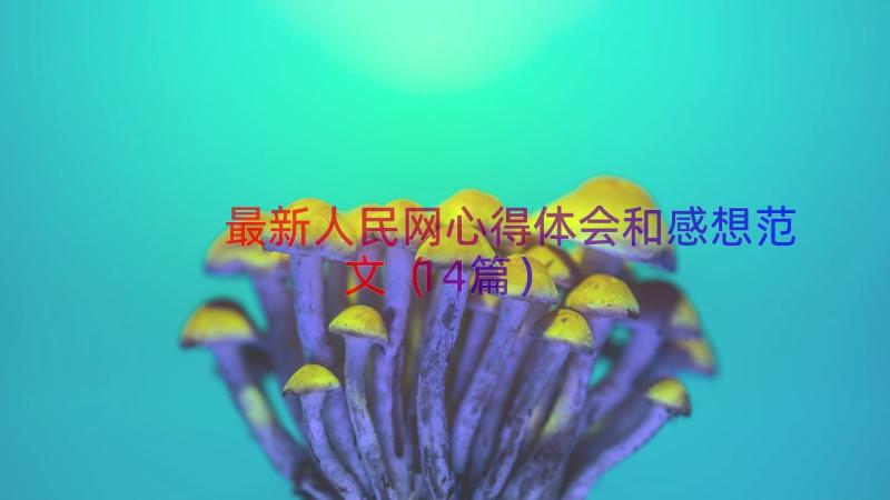 最新人民网心得体会和感想范文（14篇）