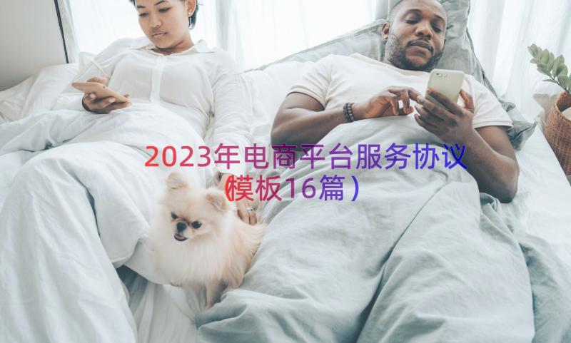 2023年电商平台服务协议（模板16篇）