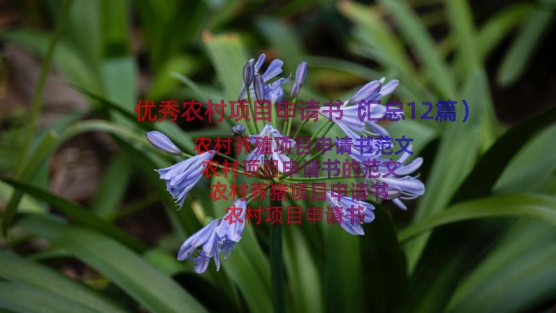 优秀农村项目申请书（汇总12篇）