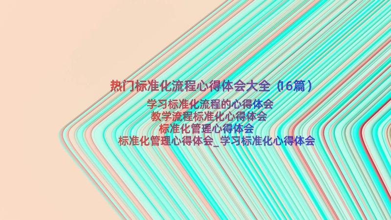 热门标准化流程心得体会大全（16篇）