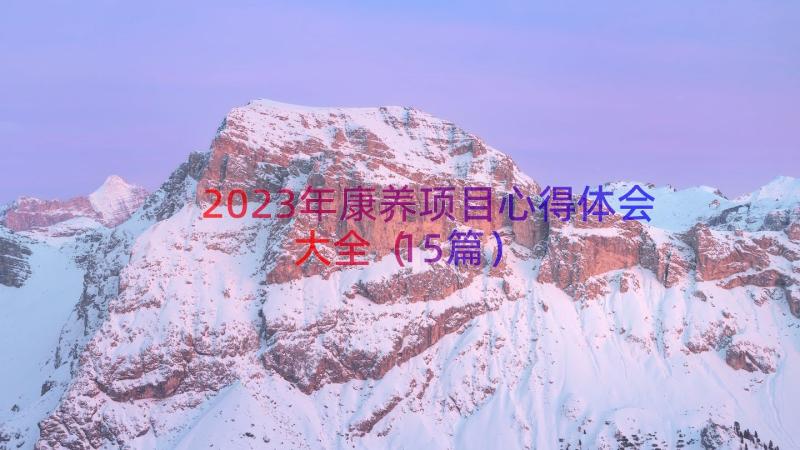 2023年康养项目心得体会大全（15篇）