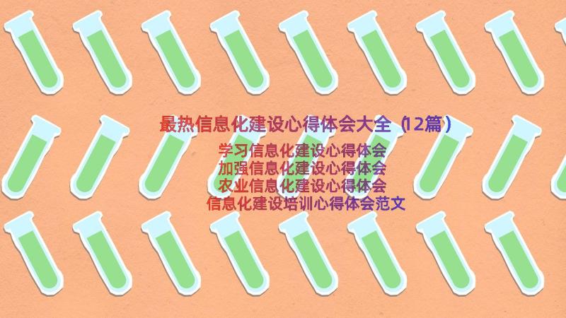 最热信息化建设心得体会大全（12篇）