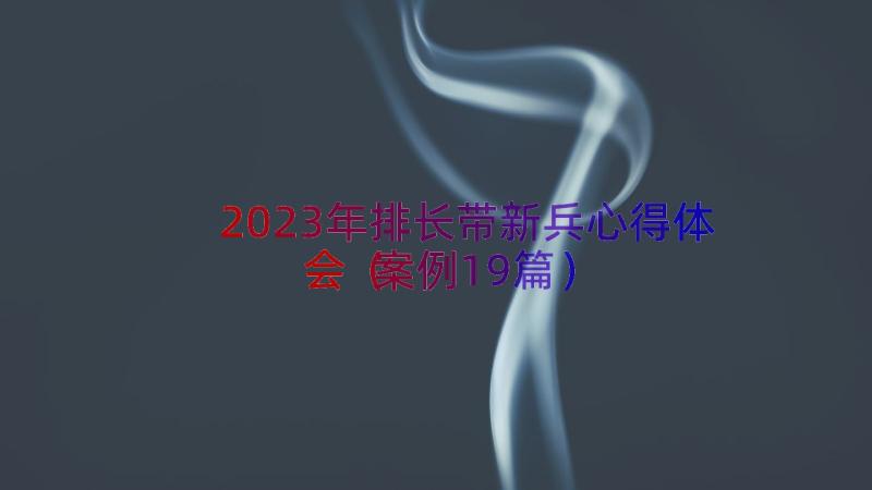 2023年排长带新兵心得体会（案例19篇）