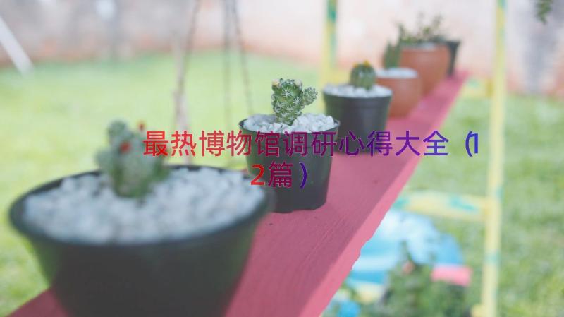 最热博物馆调研心得大全（12篇）