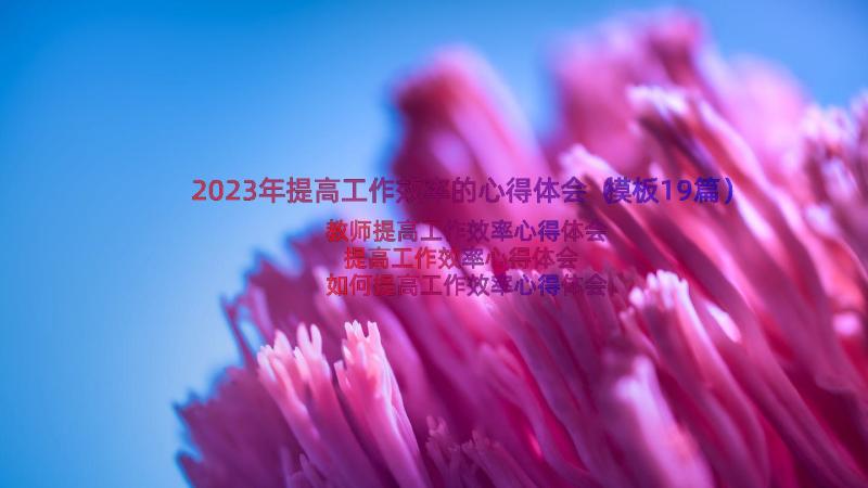 2023年提高工作效率的心得体会（模板19篇）