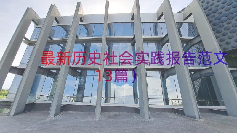 最新历史社会实践报告范文（13篇）