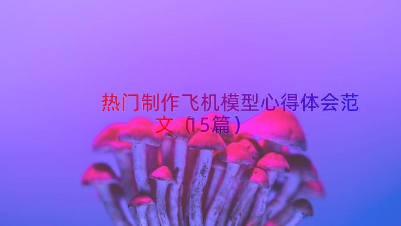 热门制作飞机模型心得体会范文（15篇）