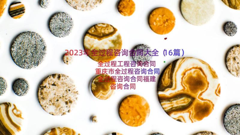 2023年全过程咨询合同大全（16篇）