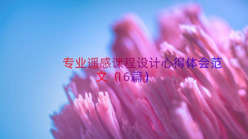 专业遥感课程设计心得体会范文（16篇）