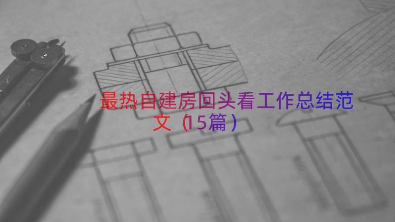 最热自建房回头看工作总结范文（15篇）