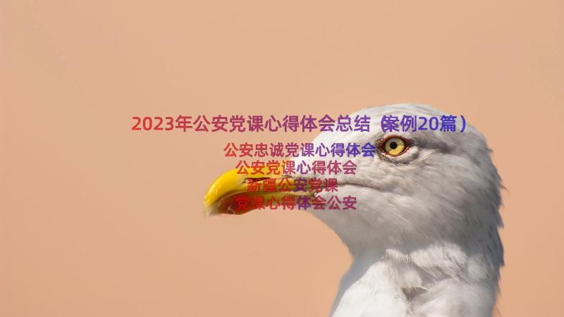 2023年公安党课心得体会总结（案例20篇）