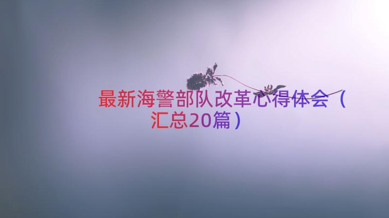 最新海警部队改革心得体会（汇总20篇）