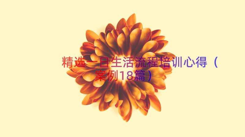 精选一日生活流程培训心得（案例18篇）