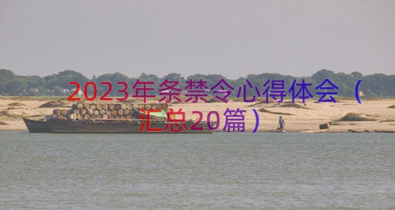 2023年条禁令心得体会（汇总20篇）