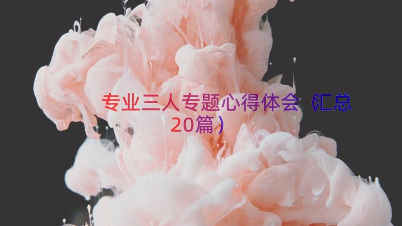 专业三人专题心得体会（汇总20篇）