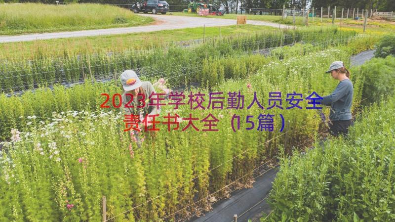 2023年学校后勤人员安全责任书大全（15篇）