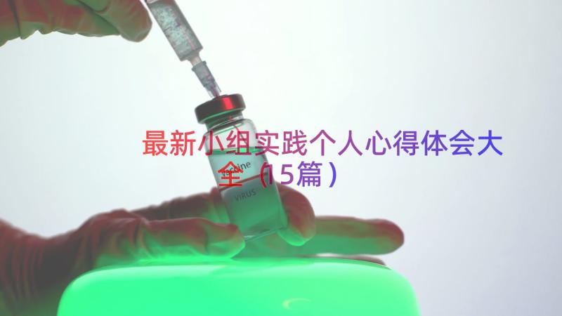 最新小组实践个人心得体会大全（15篇）