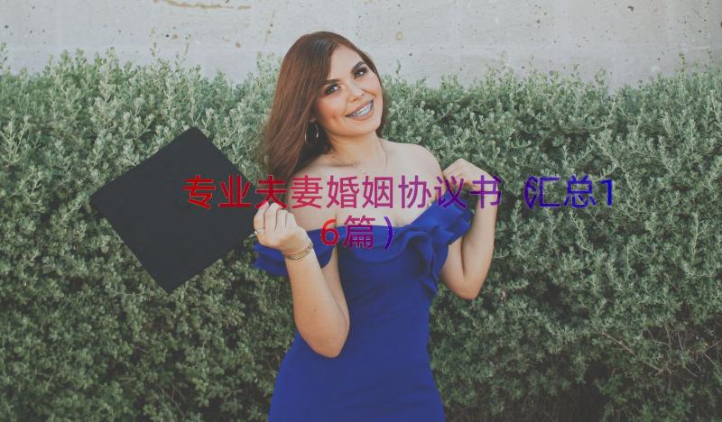 专业夫妻婚姻协议书（汇总16篇）