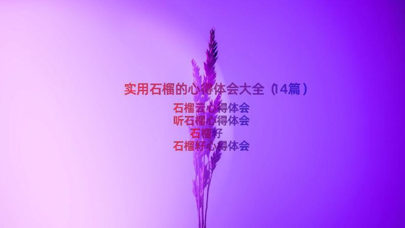 实用石榴的心得体会大全（14篇）